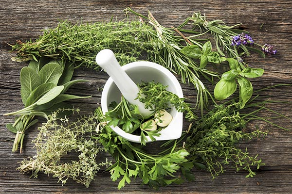 naturopathic and holistic differences