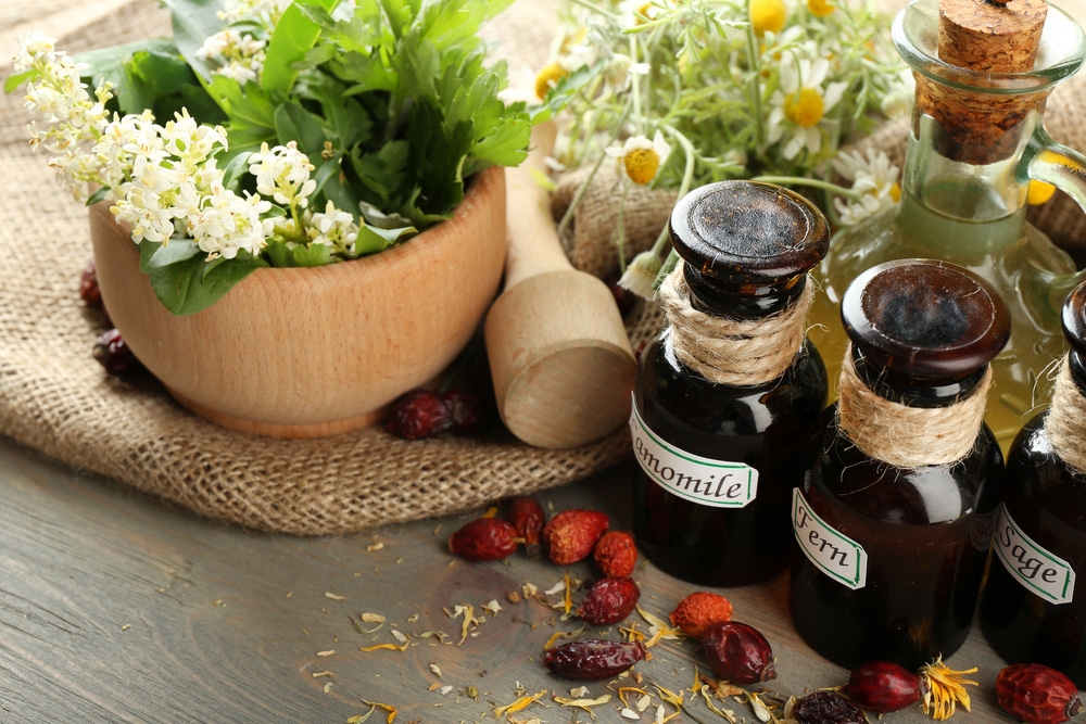 difference between naturopathic and holistic