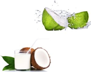 coconut milk benefits