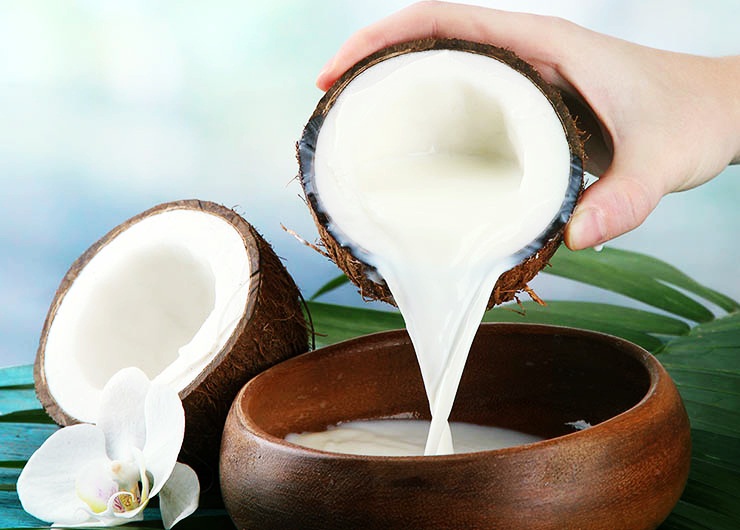 Coconut Milk Exploring The Uses & Benefits of Coconut Milk Holistic